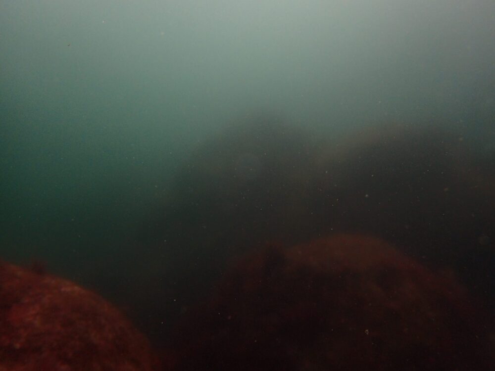 春（2024年4月）の伊豆高原（城ヶ崎海岸）の定点写真。春濁りで岩の形がほとんど見えない海