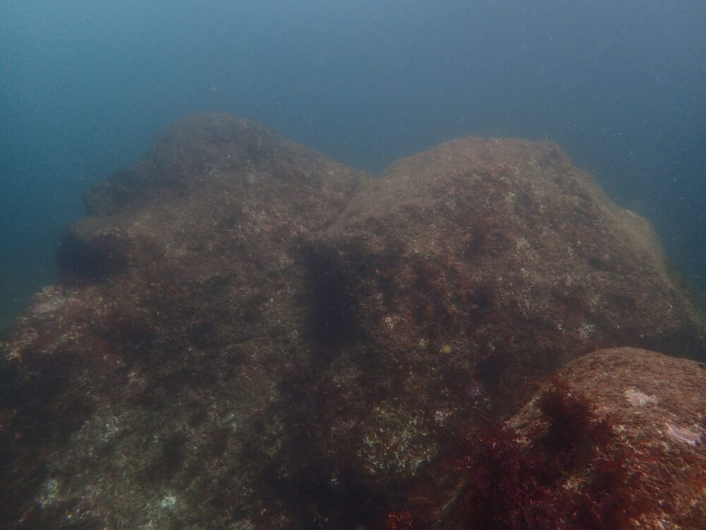 夏（2023年8月）の伊豆高原（城ヶ崎海岸）の定点写真。茶色く濁った夏の海